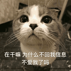 看着老婆表情包_百度图片搜索