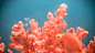 2019年度流行色来了！_潘通 : 针对过去一年甚至更长时间维度上的文化和色彩趋势进行广泛分析之后，Pantone选出了这款极具生命力的 Living Coral —— 「活力珊瑚橘」 作为2019年的潘通年度流行色。 除了社…
