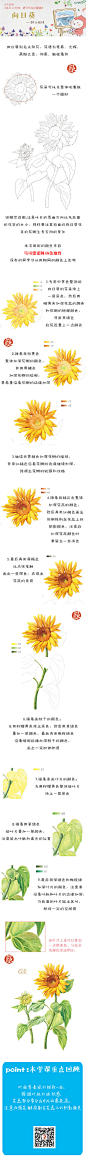 #每天10分钟，跟飞乐鸟学画画# 落幕大盘点【10分钟盘点：最受欢迎花卉篇】春风得意，花开好时节怎能不画花？！