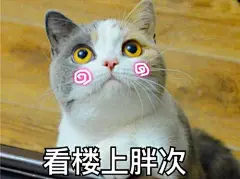 猫咪表情包