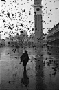 Piazza San Marco, Venezia, Italy: 