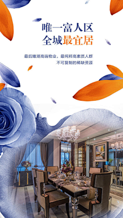堂吉哥德采集到h5