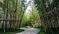 200名匠人耗时8年，打造中国最美园林，登CNN第一榜单，售价上亿挡不住全球神秘买家