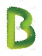 字体,英文字母B,动物毛,枝,杉树,华丽的,字母,字母表次序,信函,做