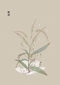 YN么宁采集到花卉