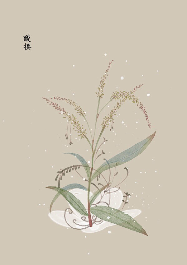 水彩 植物花卉 插画 artistic青...