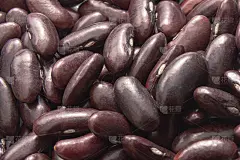 芸豆红豆共空间/芸豆或红豆背景/概念天然壁纸。