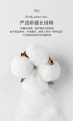 JIANGLP_26采集到【面料】