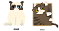 I Draw The Most Famous Cats On The Internet : Illustration of the most famous cats on the internet including: Grumpy Cat, Lil Bub, Maru and more.
By NuroNuro (Nurit Benchetrit), a graphic designer and illustrator from Tel Aviv.