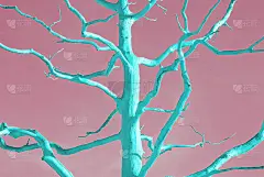 死新薄荷树在双色调波普艺术风格的粉红色背景。