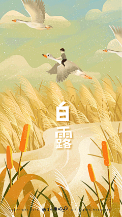 魚夫兜兜采集到【插画】节气