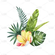 水彩矢量花束热带叶子和花孤立在白色的背景。