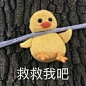 分享最近爱用表情包​​​