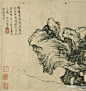 #明四家#【 明 文徵明 《古柏图》 】卷，水墨纸本，26.04×48.9cm，纳尔逊-艾金斯美术馆藏。 此作绘一巨石之上，一古松孤高枝长。作者自题：“雪属霜凌岁月更，枝虬盖偃势峥嵘。老夫记得杜陵语，未露文章世已惊。徵明写意柏起茂才。” 表现出作者愤世嫉俗的抗争情绪和清高傲世的心态。