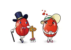 山东德润食品包装解决方案｜圣智扬创意案例分享