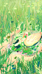 宜 · 探索_豆畑__插画师作品_涂鸦王国gracg.com