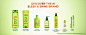 Fructis Sleek & Stay