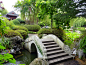 ancient tree landscape design - Google 搜索