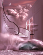 (653) Pinterest