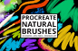 iPad Pro 漂亮的笔刷合集 30 Procreate-4 Natural Media Brushes插图