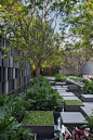 alex hanazaki paisagismo / jardim praça eliane, casa cor 2016 são paulo