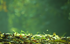 梅小姐00采集到banner