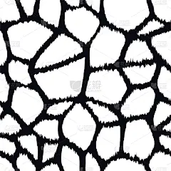 纺织品,动物皮,矢量,黑白图片,式样,壁纸,四方连续纹样,背景,纹理,绘画插图