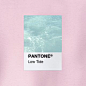 animated pantone swatches channel coastal colorways and summertime vibes #colori…