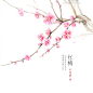 @木龙蕾 中式水彩诗词图鉴：《生如夏花》