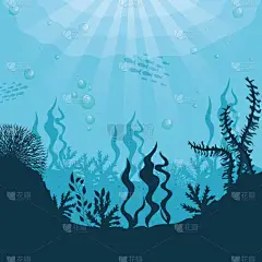 水下轮廓背景、海底珊瑚礁、海洋鱼类和海洋藻类景观、生境海洋概念