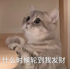 诗语萱采集到有趣的灵魂