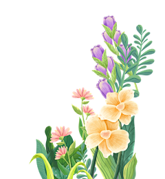 等到花开的春卷采集到插画