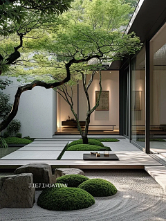 ~花生了什么树~采集到【空间】03-庭院景观