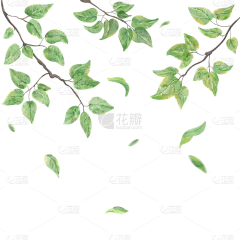 手绘绿色枝叶植物元素