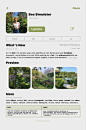 (4) Pinterest