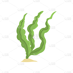 Lynn宝采集到dha藻油