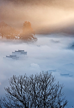 默默的……采集到风景