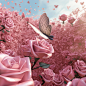 pink garden 3d background, full rose fly in the air