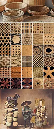 天下皆白唯我独黑