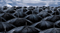 ID-925637-一堆黑色雨伞高清大图