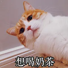 萌宠猫咪表情包