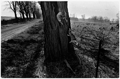 Kawen_wuu采集到摄影 | 拉里·托维尔Larry Towell
