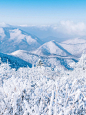 韩国旅行❄️冬日童话世界 冬季恋歌取景地！