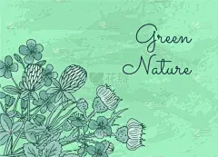 健康保健,草本,动物手,背景,熏衣草,食品,皮肤病学,Corn Marigold,壁纸,绘制