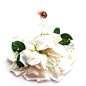 鲜花设计系列--白玫瑰
