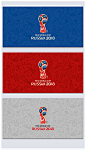 世界杯底纹俄罗斯世界杯底纹设计官方logo