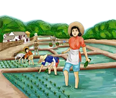 卡通农民耕种插秧田种植
