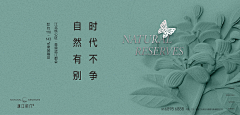木小白01采集到设计