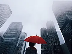 不想仰望，不想期盼