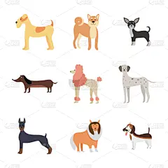 纯种犬,狗,分离着色,白色背景,卡通,可爱的,大麦町,小的,布置,站